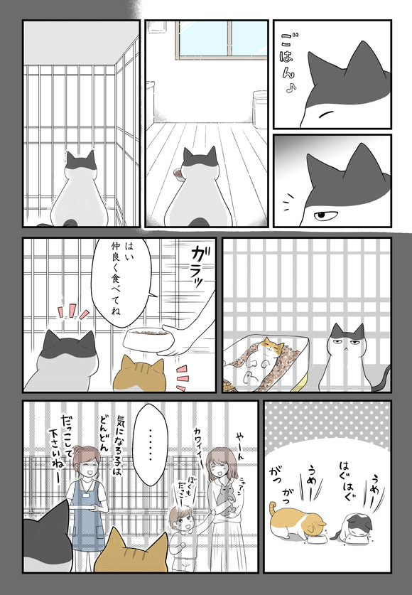 子供を諦めた私と猫たちと6