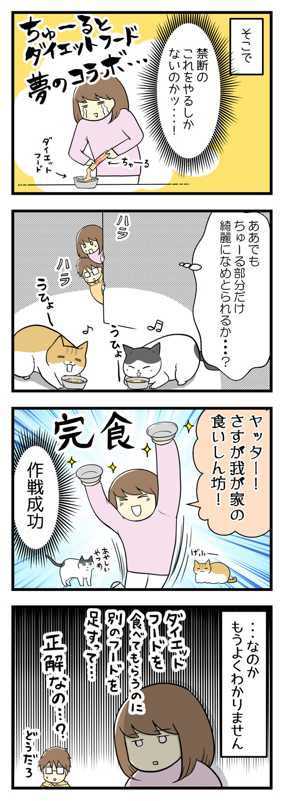 そこで禁断の「ダイエットフード on ちゅーる」をやることに。でもちゅーる部分だけきれいになめとられる・・・?と心配な一面も。しかし猫たちはあっさりと全部完食してくれました!作戦成功!・・・なのかどうかよくわかりませんでした。ダイエットフードを食べてもらうために他のおやつを足すということが・・・正解?