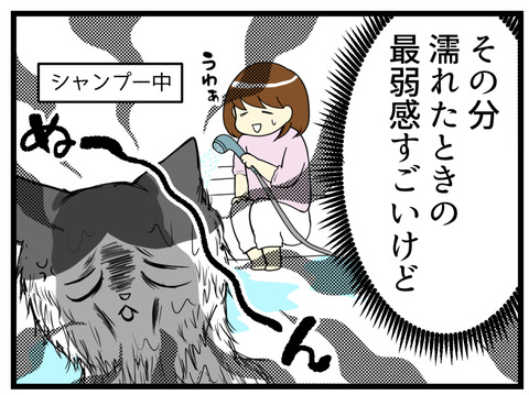猫の抜け毛でギャップ漫画続き２