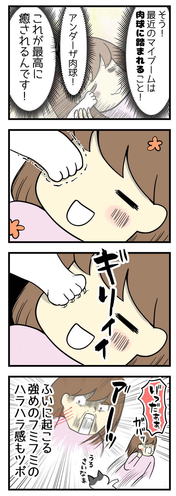 そうなんです!最近のマイブームは猫の肉球に顔を踏まれること!アンダーザ―肉球!これが最高に癒されるんです!!でも・・・突然始まる強めのフミフミへのハラハラ感もなかなかツボです。
