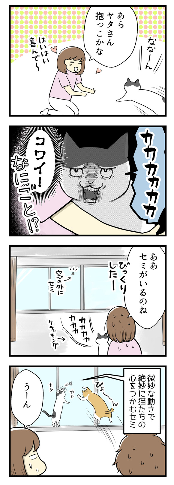 猫のヤタさんを抱っこしていたら急にカカカカ!とクラッキングが始まってびっくり。気づくと窓にセミが張り付いていました。絶妙な動きで猫たちの心をつかむセミ。