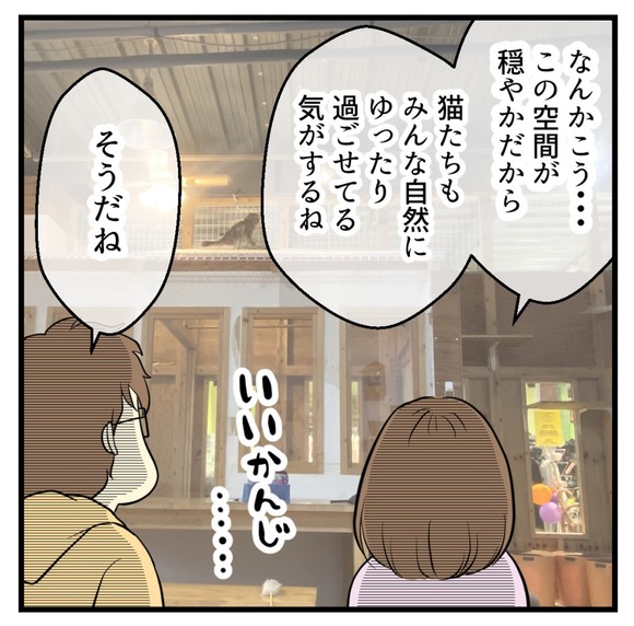保護猫カフェに行ってみた2-2