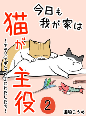 表紙2