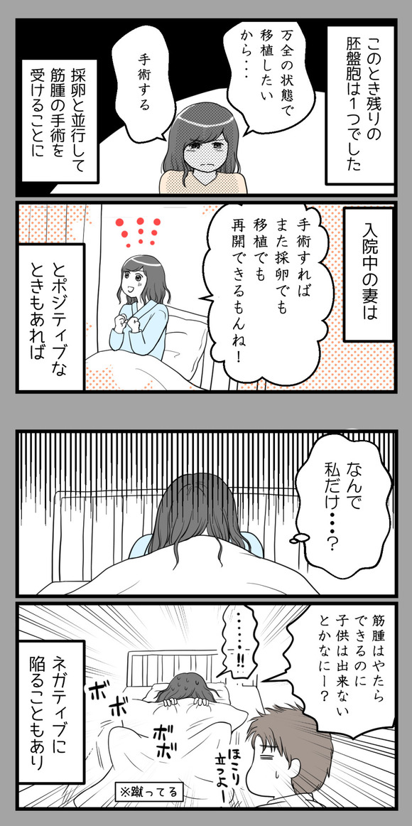 私たち夫婦は不妊治療に終止符を打ちました-3-2