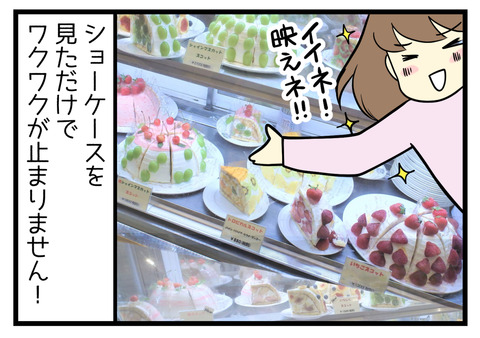 果実園リーベルのショーケース
