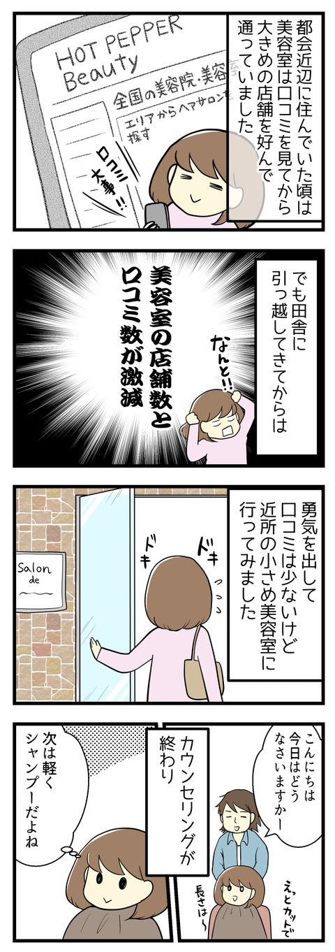 都会の近辺に住んでいた頃は美容室は口コミの多い大規模店舗に通っていました。でも田舎に引っ越してからは店舗数も口コミ数も少なすぎ!勇気を出して口コミは少ないけれど近所の小さ目な美容室に行ってみたところ