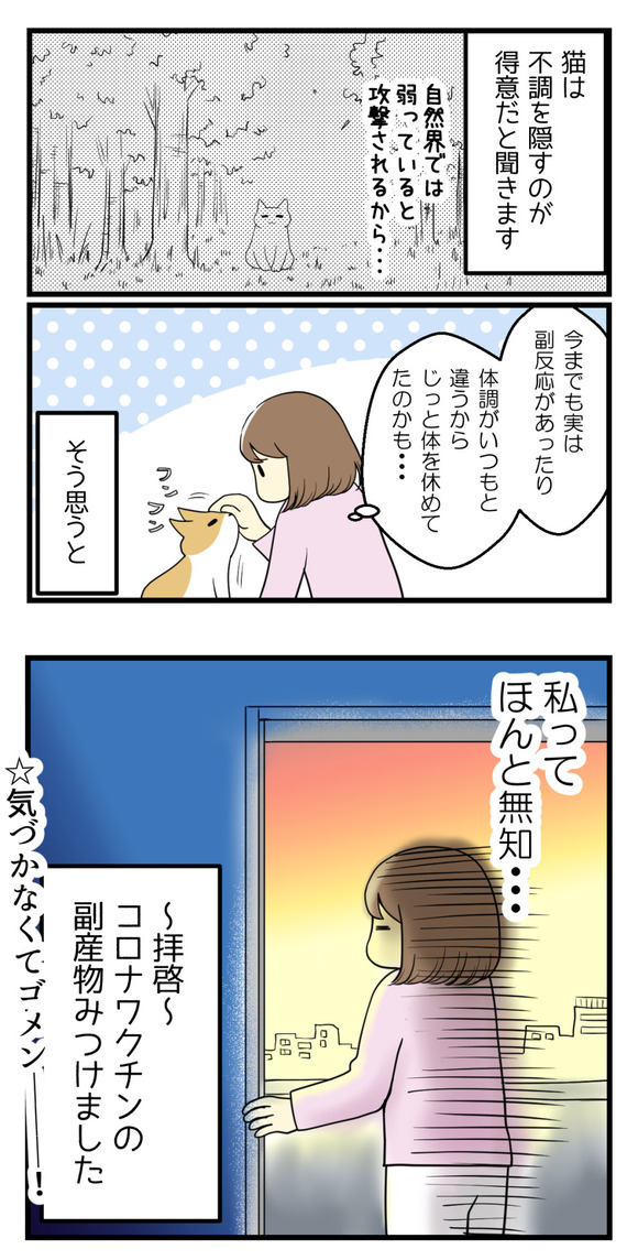 猫のワクチン接種で今さらな話-1-3