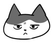 猫のヤタ
