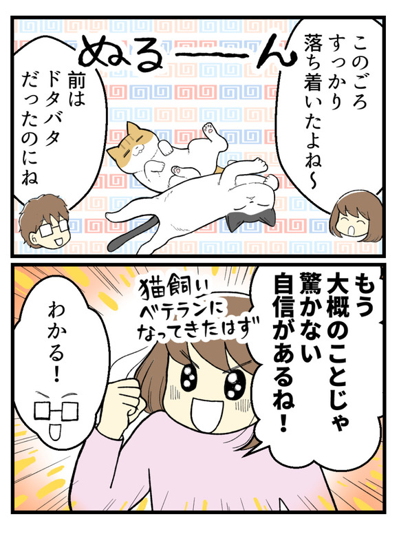 もう驚かないと思っていたら2