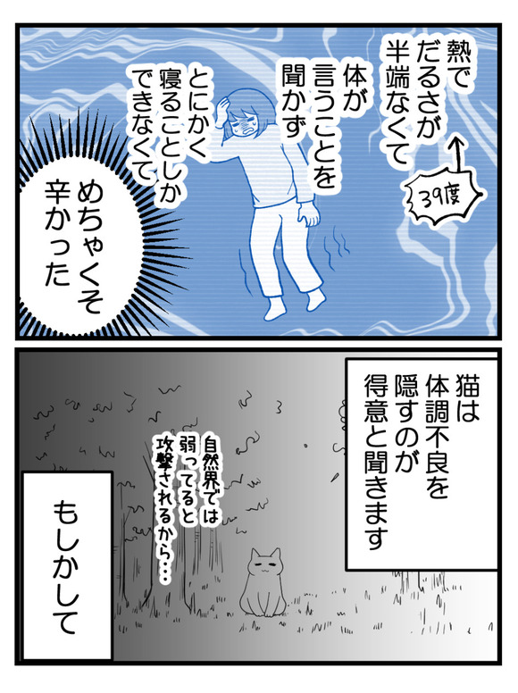 猫のワクチン接種で今さらな話リメイク-1_5