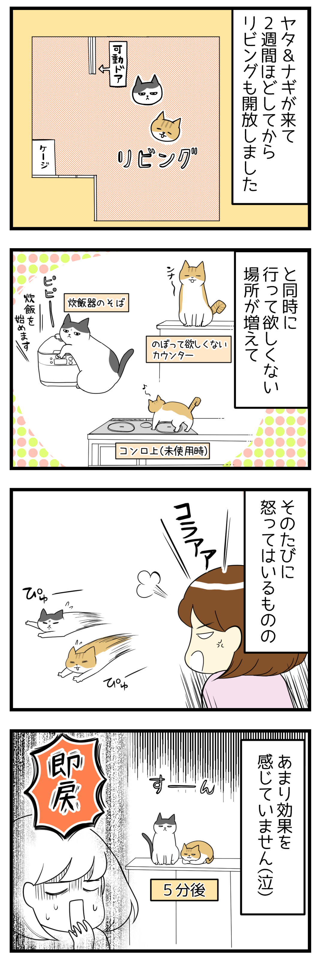 疑って申し訳ないなと思うとき 猫漫画 妊活は忍活 アラフォー不妊治療体験記 その後 Powered By ライブドアブログ
