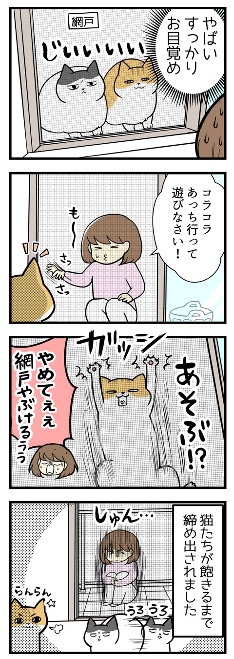いつの間にか猫が起きていて網戸越しにこちらをじっと見ていました。あっちで遊んでなさいと追い払おうとしたら逆にじゃれて網戸に張り付く!猫が飽きるまでベランダに締め出されました