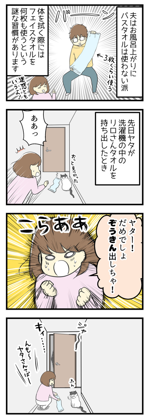 夫は風呂上りに体を拭くときバスタオルを使わずフェイスタオルを何枚も使うという謎な習慣があります。一度につき3枚~4枚ほど使います。先日猫のヤタが夫の体拭き用タオルを洗濯機かごから引っ張り出して廊下でいたずらしていた時、「こらー!だめでしょぞうきん出しちゃ!」とつい私は言ってしまい