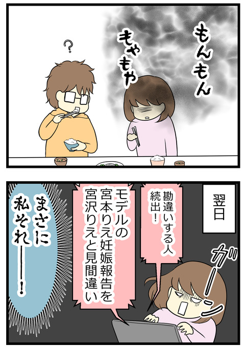 翌日のヤフーニュースで「モデルの宮本りえ妊娠報告を、宮沢りえが妊娠したと勘違いする人が続出した!」という話題を見て自分もそうだったと知りました