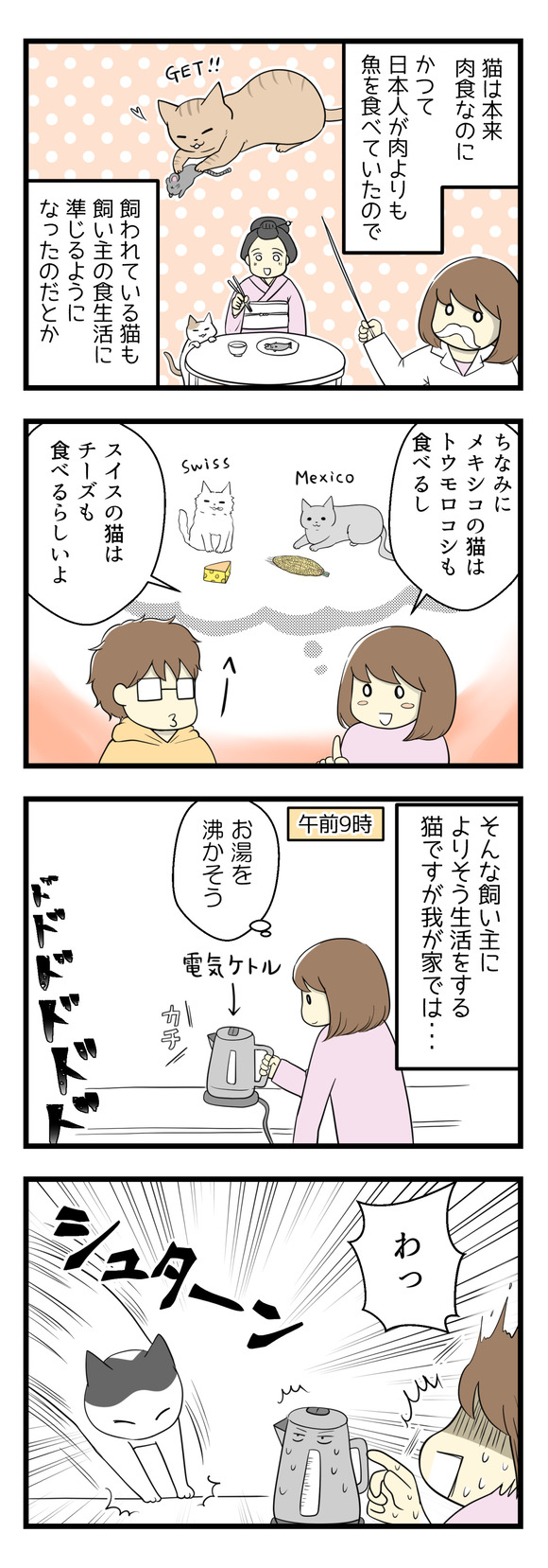 猫の順応性に驚く話-1-