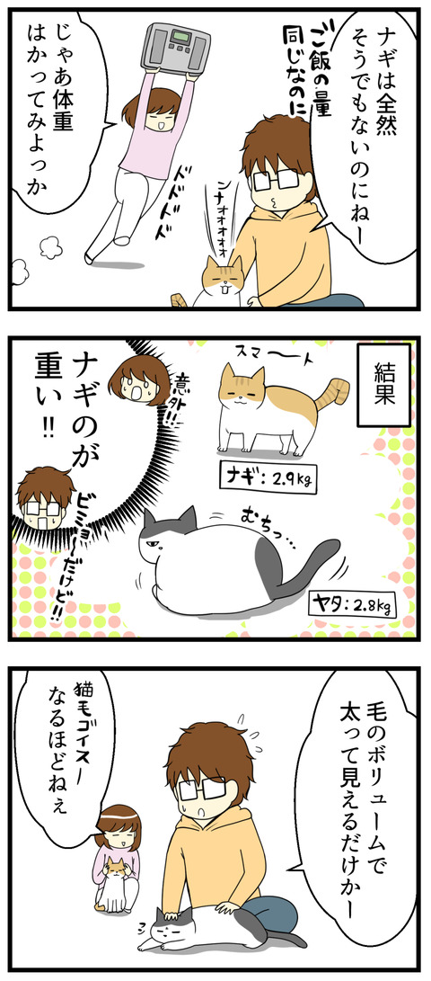 猫の抜け毛でギャップ漫画続き