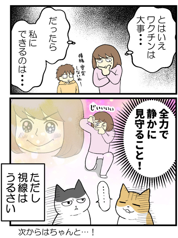 猫のワクチン接種で今さらな話リメイク-1_7