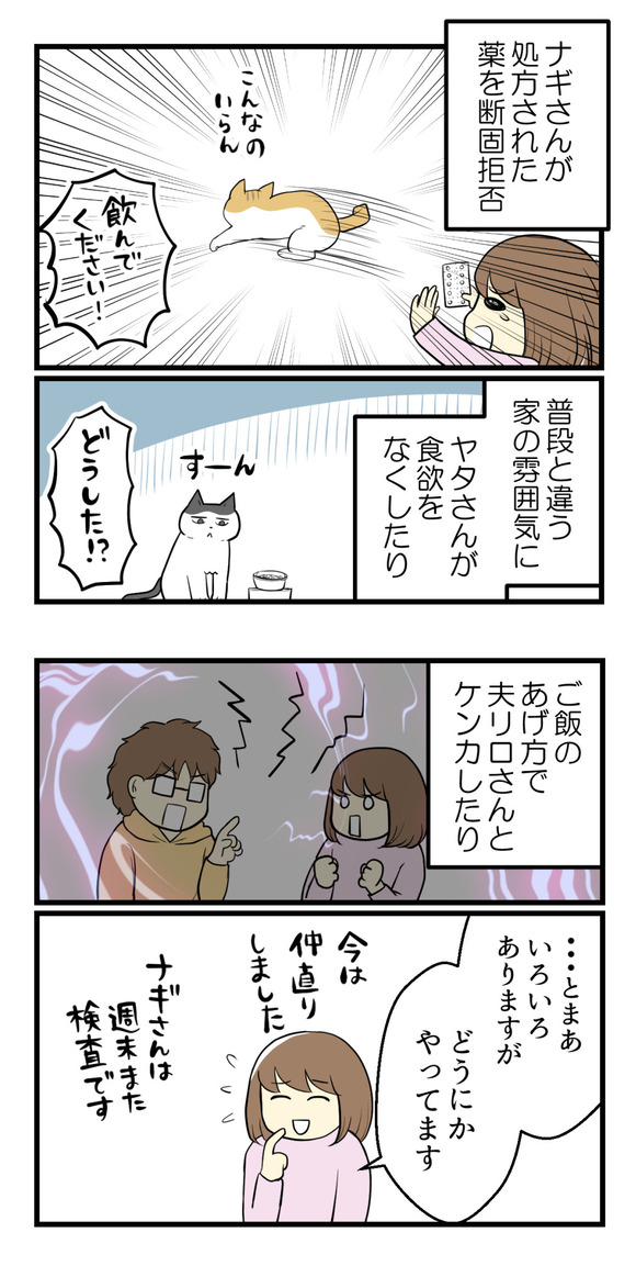 受賞しました1-4