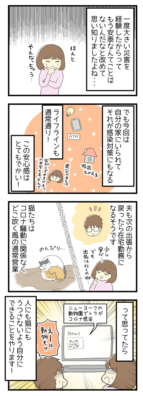 一度大きな災害を経験したからってもう安泰なんてことはないと、改めて思い知りました。でも今回は家にいることで感染対策になるし、ライフラインも通常通り！この安心感はとてもでかい！夫ももうすぐ在宅勤務になるし、猫は家でコロナ騒動どこ吹く風。って思ってたら動物にも感染するなんてニュースが！自分にできることをやりますー！