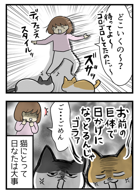 どこにいくの!?とディフェンススタイルで追いかけていくとどうやら私の体で陰になって太陽の光が当たらないから、だったようです。