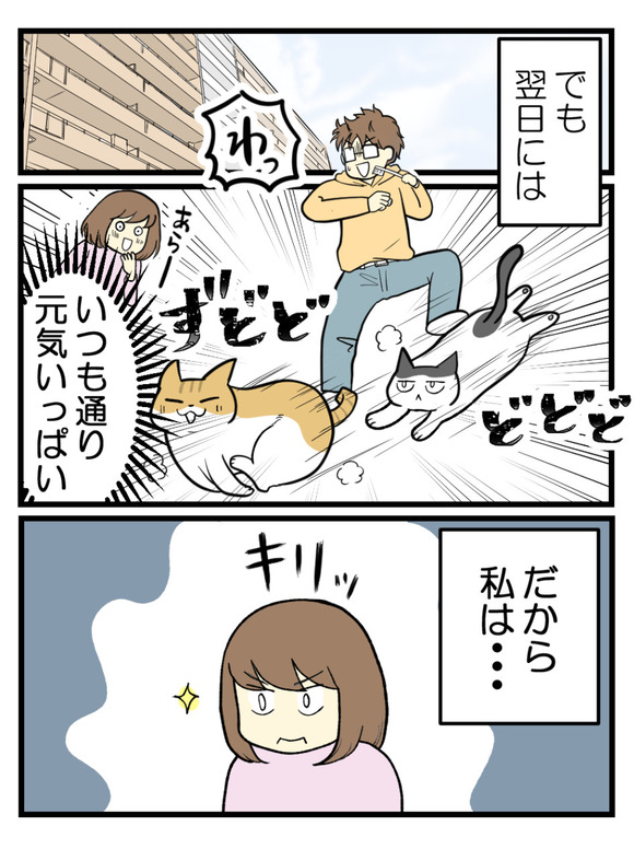 猫のワクチン接種で今さらな話リメイク-1_2