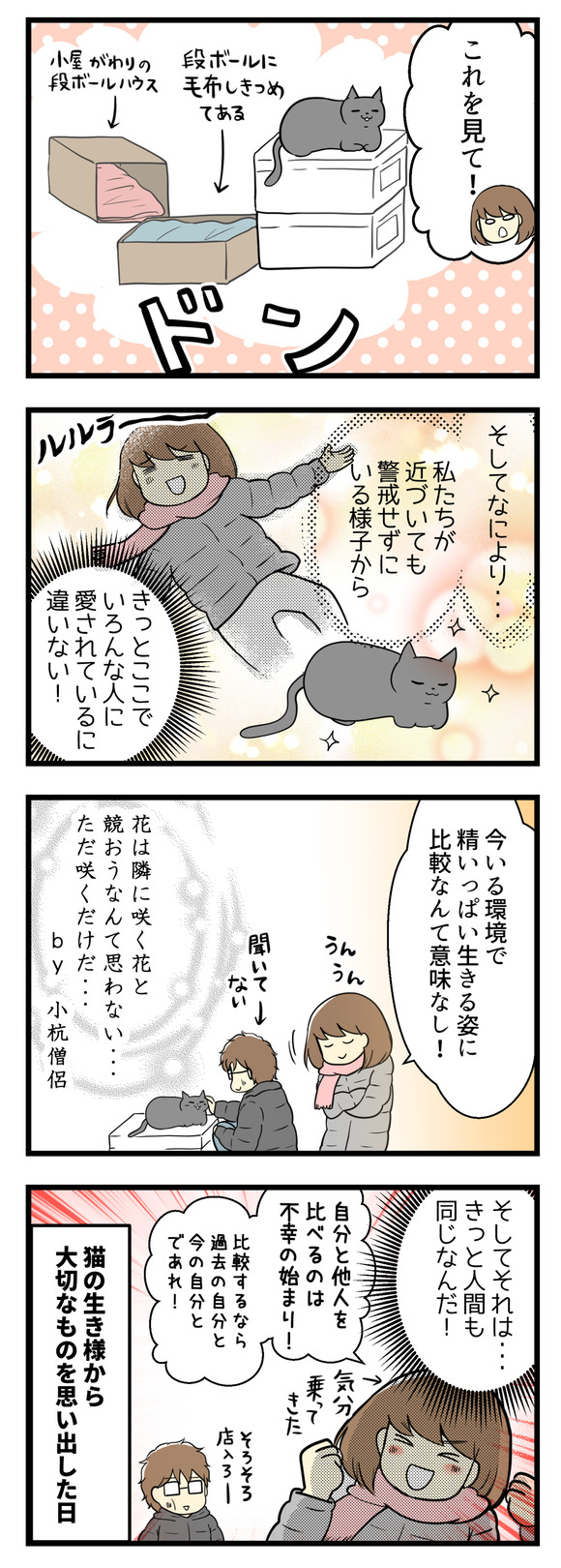 でもよく見てみると、その猫は温かく過ごせるように段ボールに毛布がしきつめてあったりと手厚く扱われているようでした。今いる環境で精いっぱい生きる姿に比較なんて無意味！そしてそれはきっと、人間だって同じなんだ！「花は隣に咲く花と競おうなんて思わない。ただ咲くだけ」という小杭さんの言葉を思い出す。猫の生きざまから大切なものを教わりました。