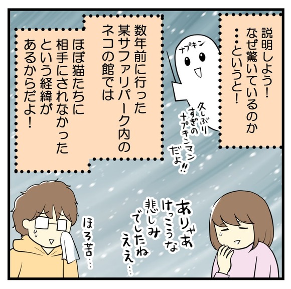 保護猫カフェに行ってみた2-1