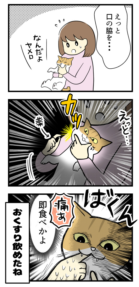 まずはナギに飲ませようとしたら、お薬の錠剤を見た途端指ごと食いつき!即食べでした。