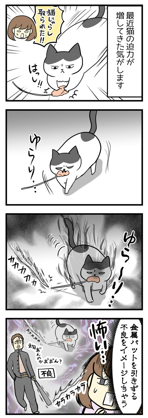 ヤタは猫じゃらしを捕まえるとハンターの血が騒ぐらしく迫力が増します。じゃらしをひきずって歩くその姿は金属バットを鳴らして歩く不良のよう