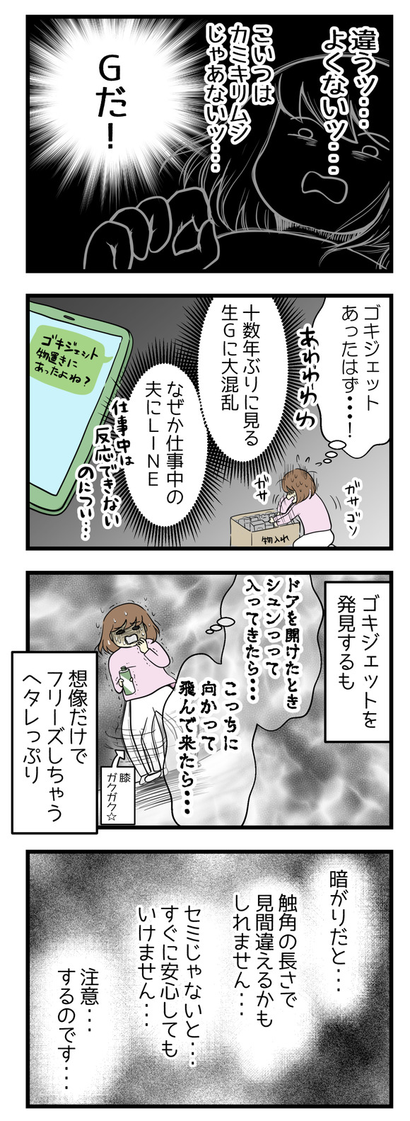 違う!これはGだ!!と虫記憶フォルダ内に激震が走りました!十年以上ぶりに見る生Gに大混乱!