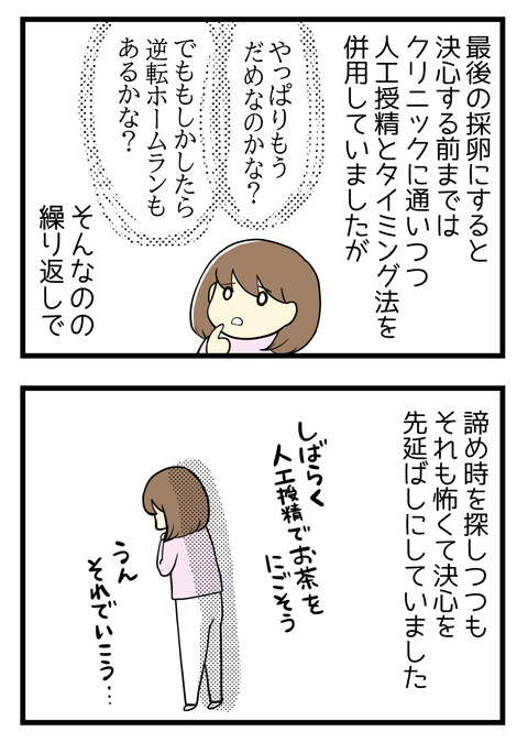 最後の採卵にすると決心する前はクリニックに通いつつ人工授精とタイミング法を併用していましたが、「もしかしたらもう妊娠はできないのかも」「でもまだチャンスはあるかも」の繰り返しで諦め時を探しながらもその決心も出来ずにいました