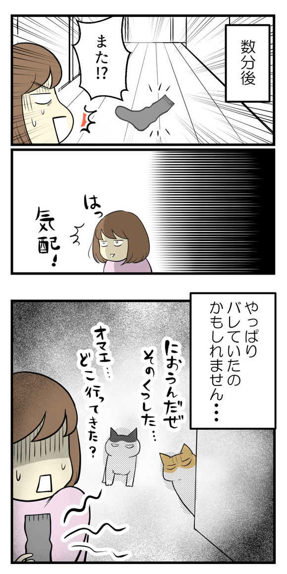 保護猫カフェに行ってみた3-2