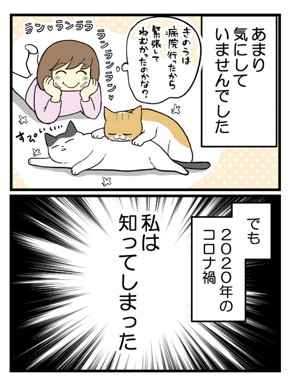 猫のワクチン接種で今さらな話リメイク-1_3