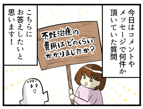 コメントなどで質問いただいた、「不妊治療の費用はどのくらいかかりましたか？」の質問にお答えします