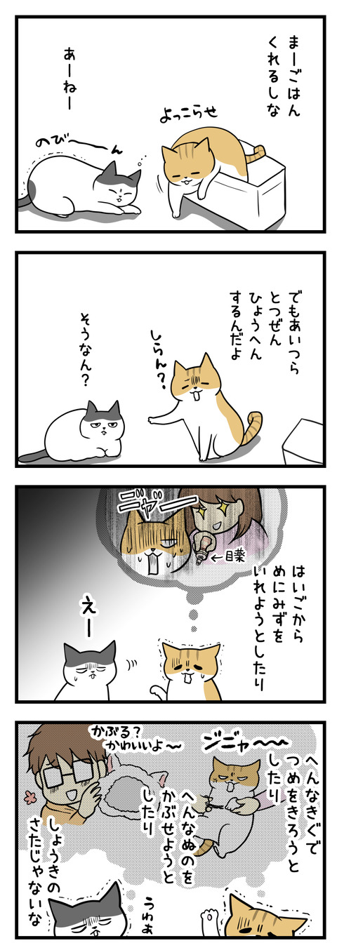 まあごはんくれるしな。でもあいつら突然豹変するんだよ、めに変な水を入れようとしたり(目薬)変な器具で爪を切ろうとしたり(爪切り)、よくわからない布を被せようとしたり(カワイイ帽子)正気の沙汰じゃないな・・・(猫談)