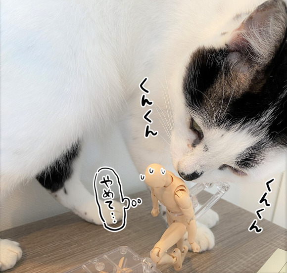 デッサン人形とヤタ