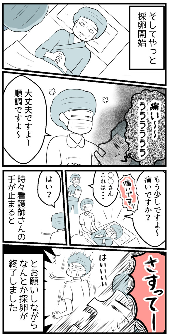 そしてやっと採卵開始。痛みを訴えるパンダさんとそれを励ます看護師さん。でも時々看護師さんの手が止まると「さすってー!!」とお願いして、なんとか無事に採卵が終わりました。