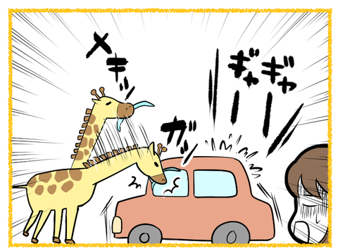 富士サファリパーク3