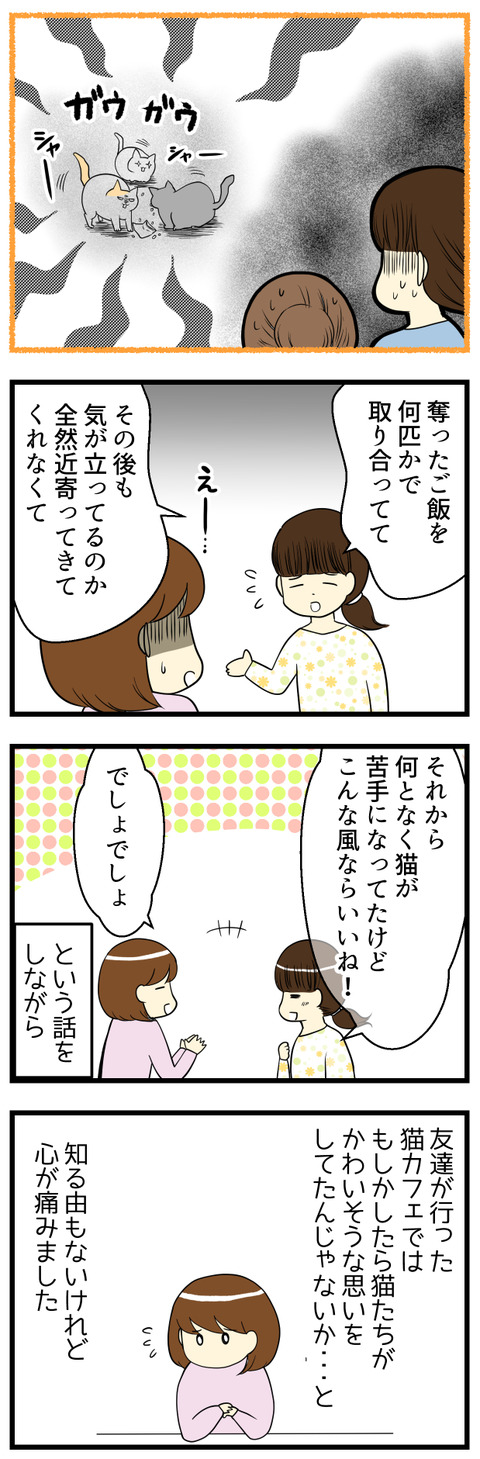 よほど飢えていたのか、その猫カフェの猫たちは友達が購入した猫のご飯を奪い、数匹で争いながら食べていたとのこと･･･。もしかしてかわいそうな目にあっていた猫たちだったのかもしれません･･･