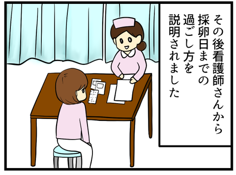 採卵日決定-2-_1
