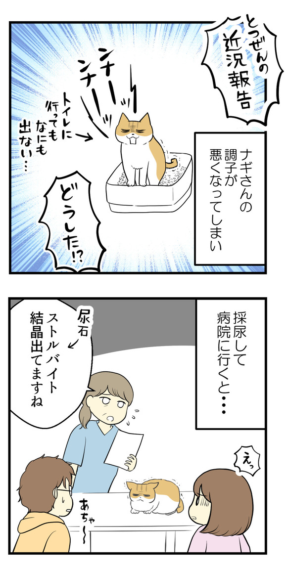 受賞しました1-3