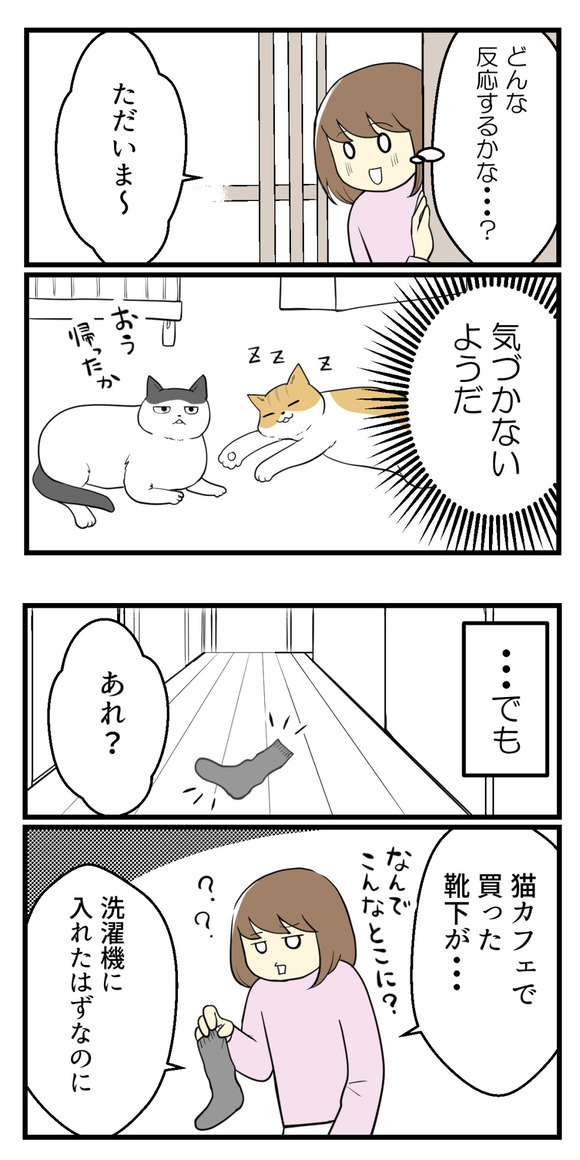 保護猫カフェに行ってみた3-1