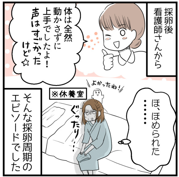 採卵後看護師さんから「ほとんど体を動かさず上手でしたよ!声はすごかったけど☆」と言われてほっとしました。そんな採卵日のエピソードでした。