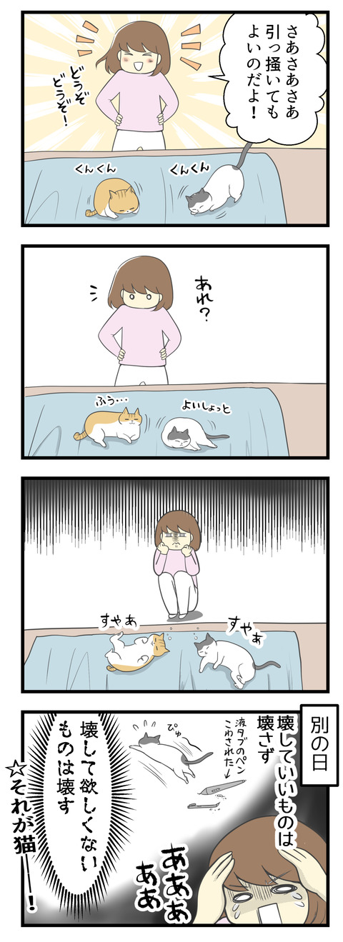 そこで「さあ引っ掻いてもいいよ!」と歓迎したけれど、猫はいくら待ってもその後爪をたてずにスヤスヤと眠り出しました。別の日、大事なペンを猫に見事壊されて、壊していいものは壊さず、壊して欲しくないものは壊すという猫あるあるに遭遇したのでした。