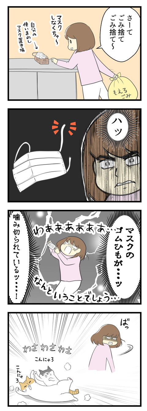 とあるごみの日、マンションの下までごみ捨てに行こうとマスクをしようとしたら、なんとゴムひもが噛み切られているのを発見!お構いなしに猫たちはマイペースで暴れています。
