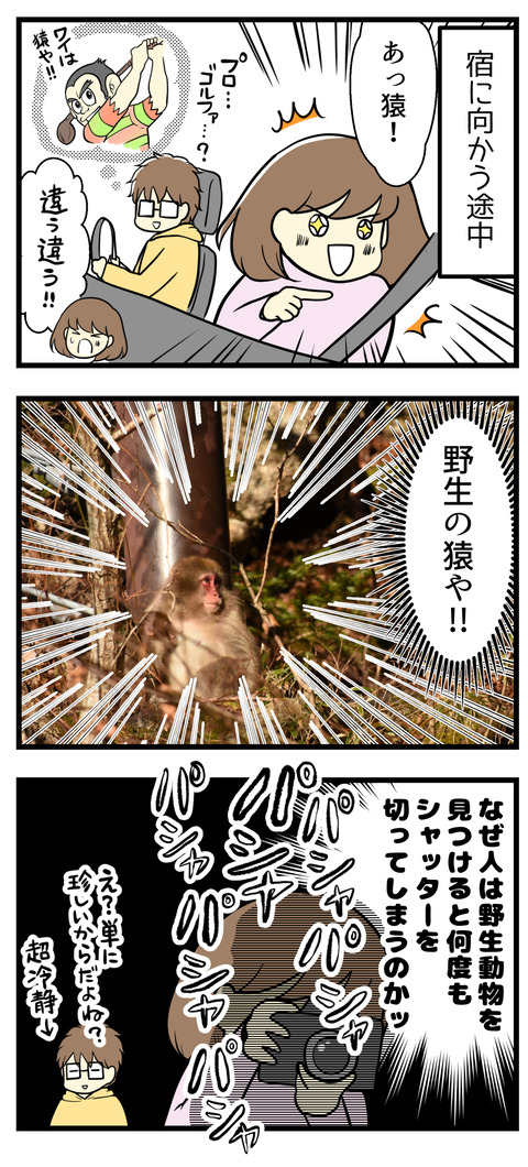 宿へ向かう途中、野生の猿を発見!めちゃめちゃ撮影しまくりました!