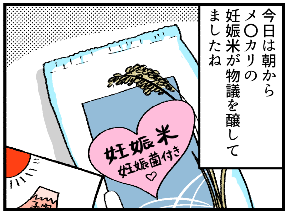 第264話 妊娠菌のついた米 妊活は忍活 アラフォー不妊治療体験記 その後 Powered By ライブドアブログ