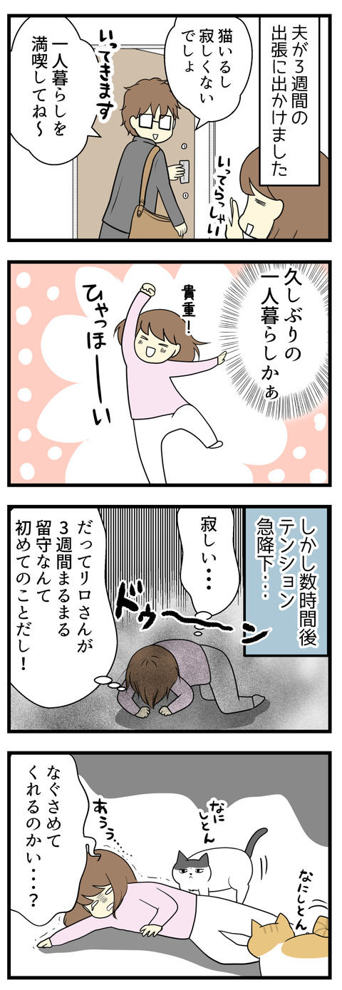 夫が3週間の出張に出かけました。猫たちもいるしきっと寂しくない!久しぶりの一人暮らしだー!とテンションが高かったのも数時間。即寂しくなってしまいました。