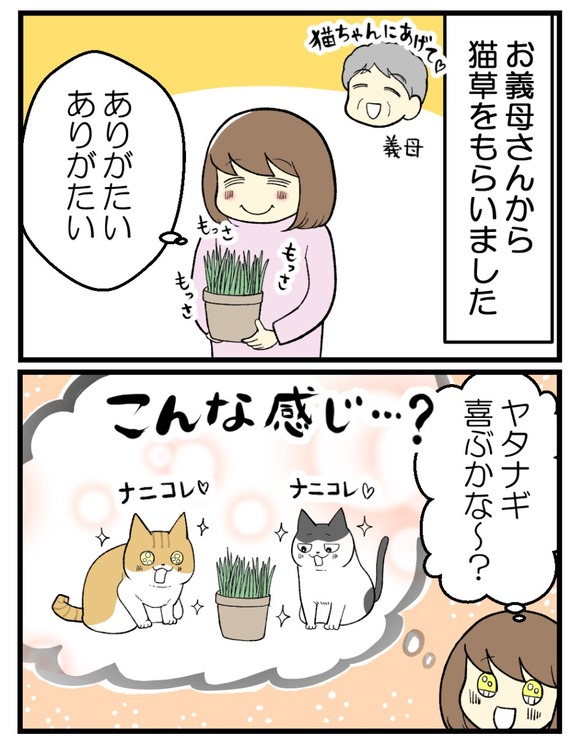 08.はじめての猫草1 題名無し