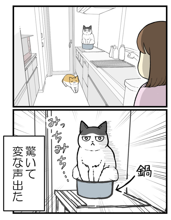 もう驚かないと思っていたら4